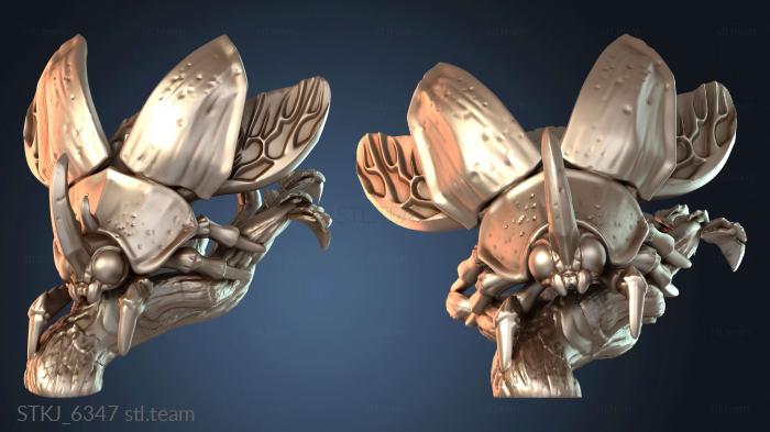 Лесные существа Жук