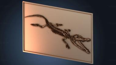 3D model Fossil Crocodile (STL)