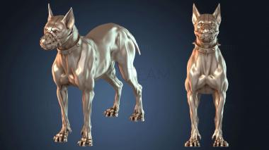 3D модель STKJ_6405 (STL)