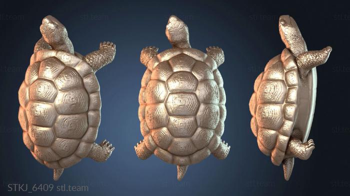 Сбор в гнойном болоте с черепахой