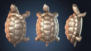 3D model Gathering In The Festering Swamp With Turtle (STL)