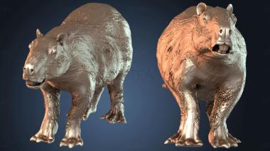 3D модель Гигантская капибара тихая (STL)