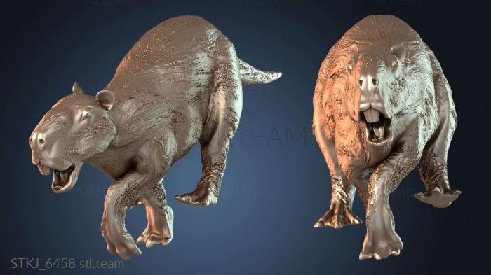 ГИГАНТСКАЯ КАПИБАРА u