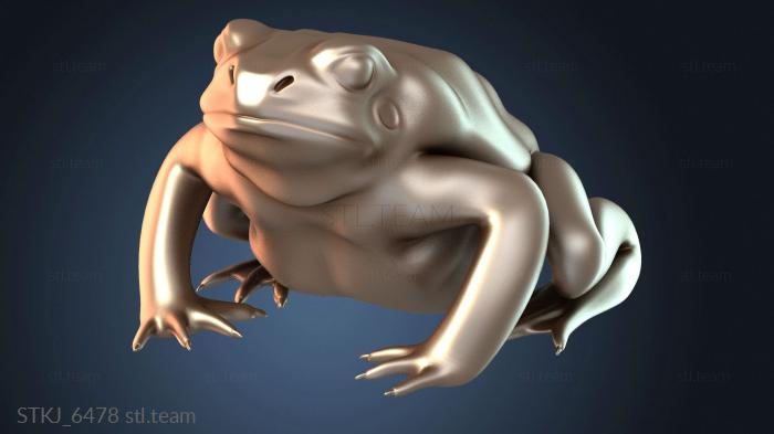 Гигантская жаба прыгает