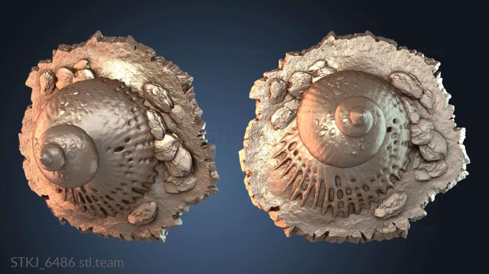 Статуэтки животных Подарки Гигантский подарочный окаменевший камень
