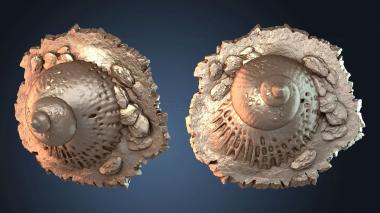 3D модель Подарки Гигантский подарочный окаменевший камень (STL)