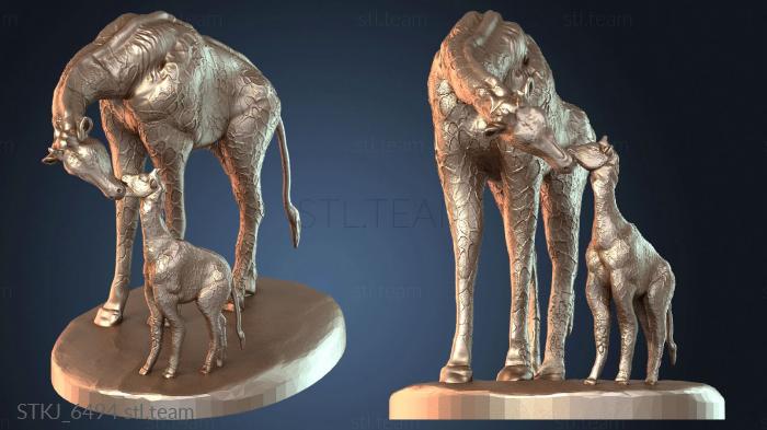 Жираф и теленок