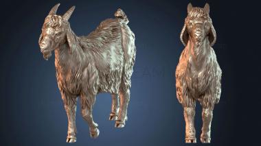 3D модель Козел (STL)