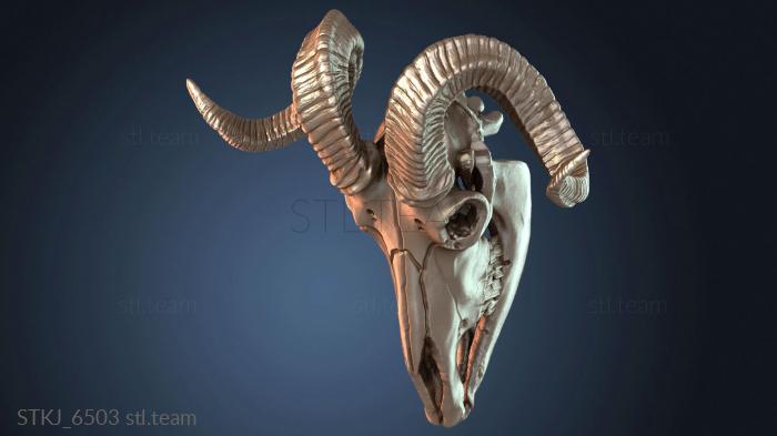 Статуэтки животных STKJ_6503