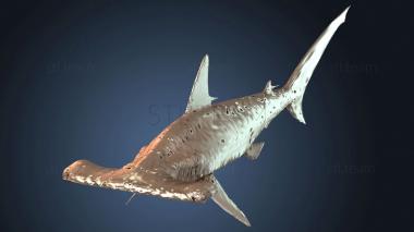 3D модель Акула-молот (STL)