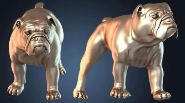 3D модель Харер Бульдог (STL)