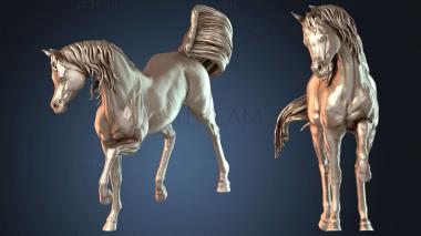 3D модель Лошадь арабская (STL)