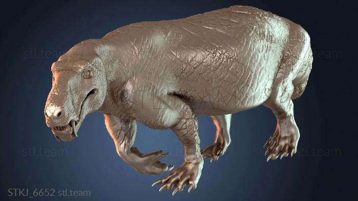 ИНОСТРАНКЕВИЯ дикая