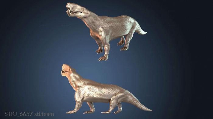 ИНОСТРАНЦЕВИЯ ксеник