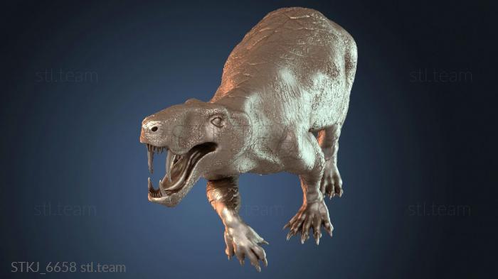 ИНОСТРАНЕВИА фанатик