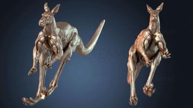 3D модель Самцы кенгуру дерутся (STL)