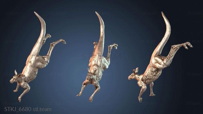 Кенгуру-самец-воин