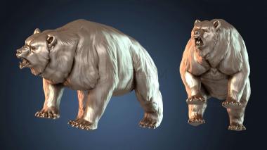 3D модель King Bear Wild (STL)