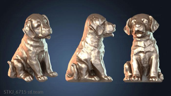 Щенок лабрадора