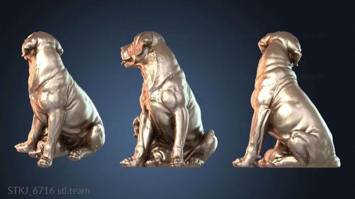 Лабрадор со щенком