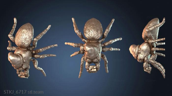 Лабрадорит Волк Паук Санта