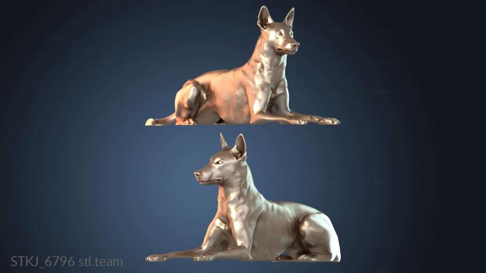 Статуэтки животных Собака малинуа