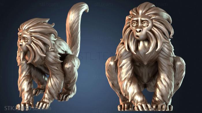 Обезьяньи джунгли