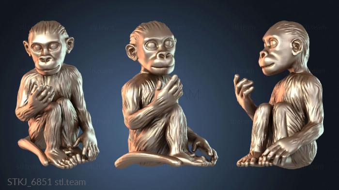 Обезьяна Любопытная