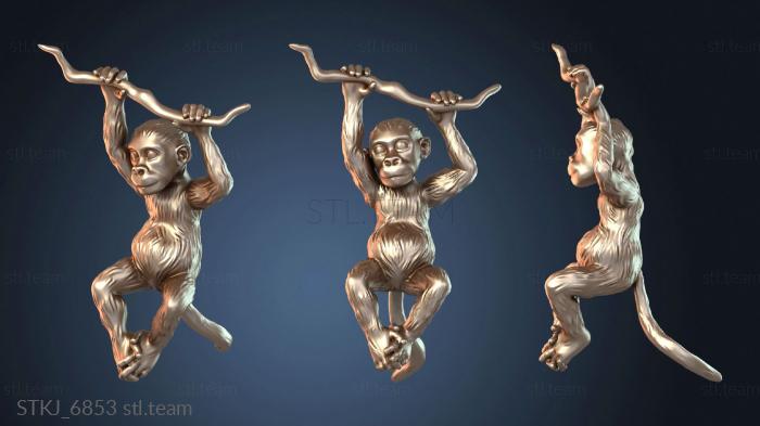 Обезьяньи шалости