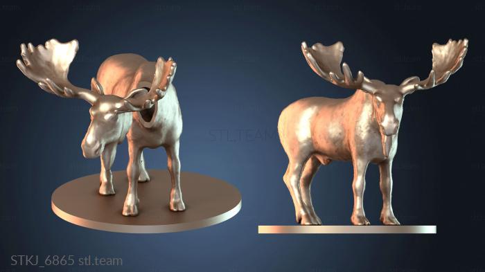 Мус Шейпвейс