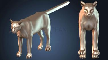 3D модель STKJ_6880 (STL)