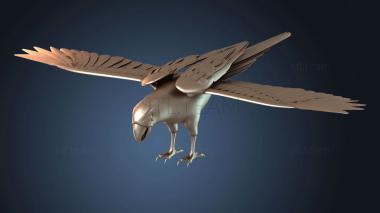 3D model Noggins Cockatoo (STL)