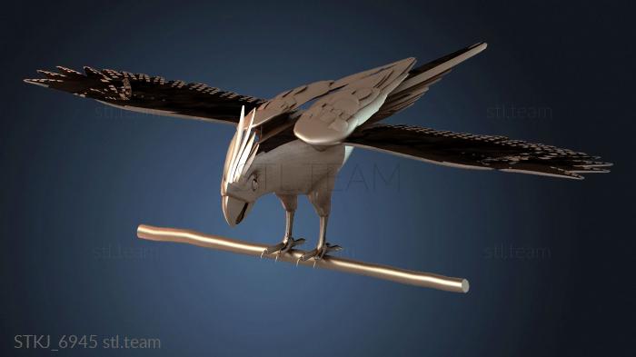 Ноггинс Ара