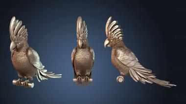3D модель Попугай Какаду (STL)