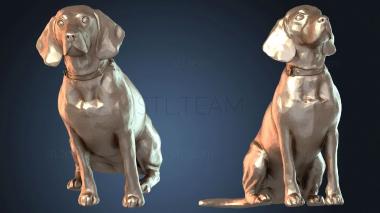 3D model Beagle Dog (STL)