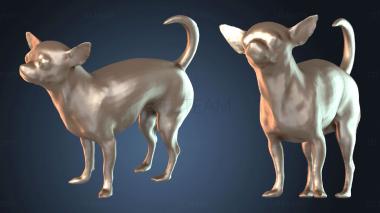 3D модель Собака чихуахуа (STL)