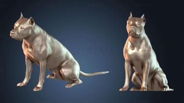 3D модель Питбуль (STL)