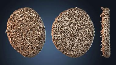 3D модель Верх на платформе (STL)