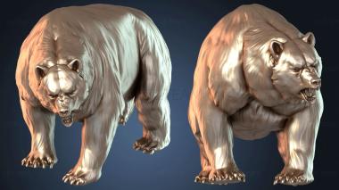 3D модель Священник Медведь Дикий (STL)