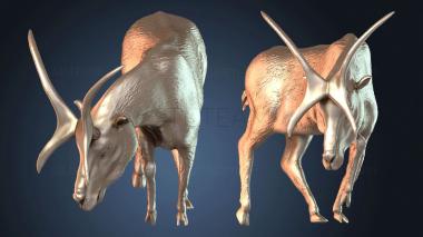 3D модель Prolibytheriumpose Dusk (STL)