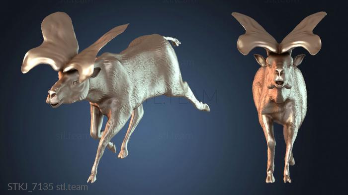 Prolibytheriumpose Omega