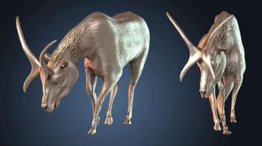 3D model Prolibytheriumpose Prime (STL)