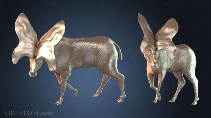 Пролибитериумпоза гнева