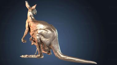 3D модель Красноглазый крокодиловый сцинк (STL)