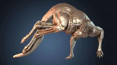 3D модель Прыгающий самец рыжего кенгуру (STL)