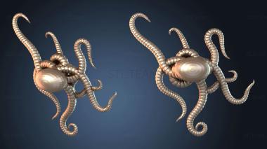 3D модель Рифовый осьминог Кракен (STL)