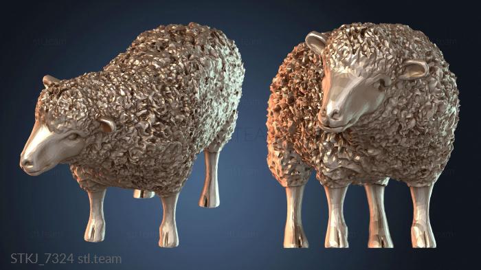 Овца рогатая