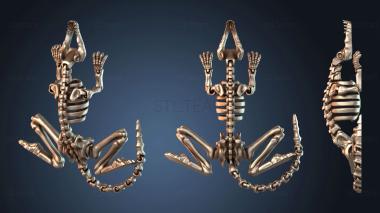 3D модель STKJ_7343 (STL)