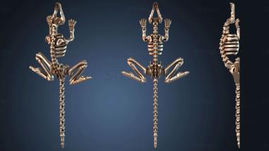 3D модель STKJ_7344 (STL)