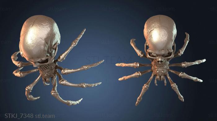 Череп Паука